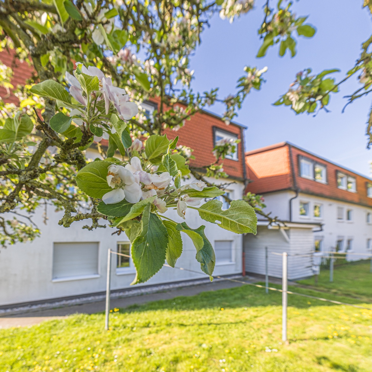 jugendwohnen kommunal - leipzig - bornaische straße 193_02