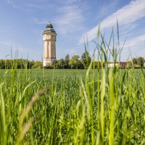 jugendwohnen kommunal - leipzig - engelsdorfer-straße-319_20